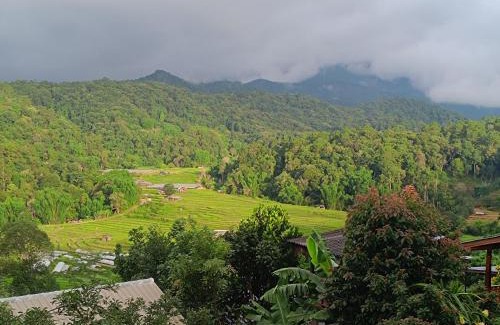 Doi Lo Haus | อินทนนท์สุขุมทิพย์ โฮมสเตย์