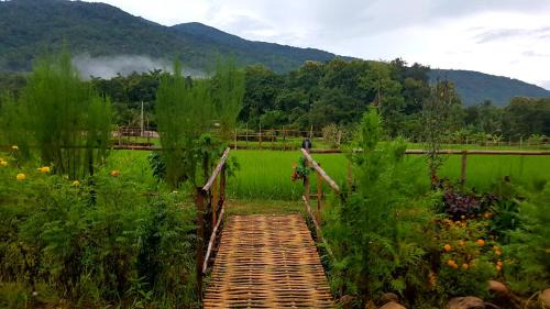 Pua Haus | ฮ้างนาตาจันทร์