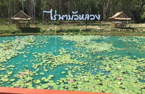 Thung Song Sonstige | ไร่นาบัวหลวง คาเฟ่ & ฟาร์มสเตย์ RaiNa BuaLuang Cafe & Farm Stay