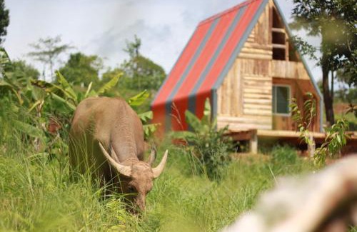 Mok Cham Pae Haus | ไร่นิธิสุนทร nithisoonthon farmstay