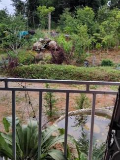 Phakdi Chumphol Sonstige | ไร่เจาทองรีสอร์ท