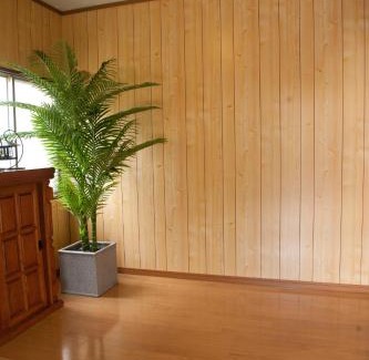 Gujo Wohnung | お宿葉の光