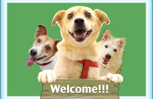 Nasushiobara Villa | のんびれっじ七草