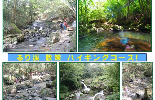 Funai-gun Kabine | るり渓フォレストコテージ