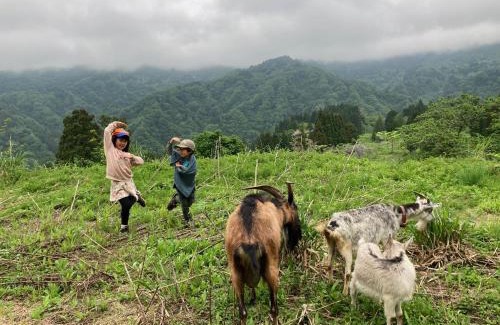 Itoigawa Haus | わくわく自然体験の宿ゲストハウス山楽