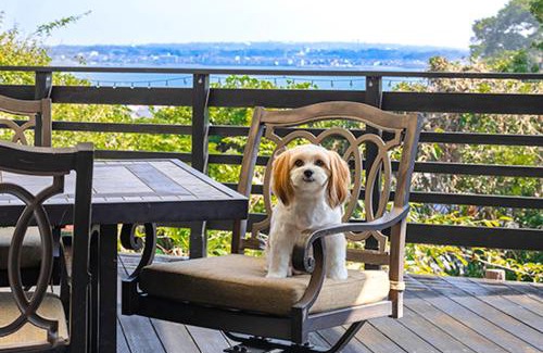 Yokosuka Villa | オーシャンヴィラ Breeze and Dog