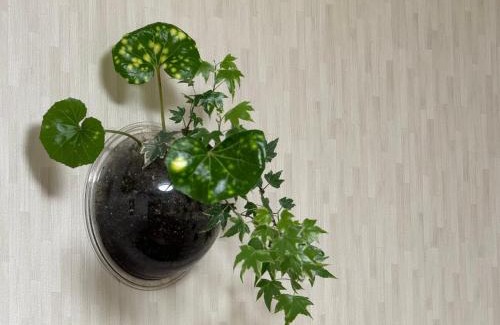 Oishi Haus | コテージ蘭峰