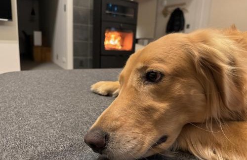 Miyota Villa | トライハク西軽井沢 柚季-ゆずき-