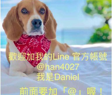 Dajia District Haus | ハルク12番