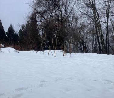 Nagano Villa | フォレスト247