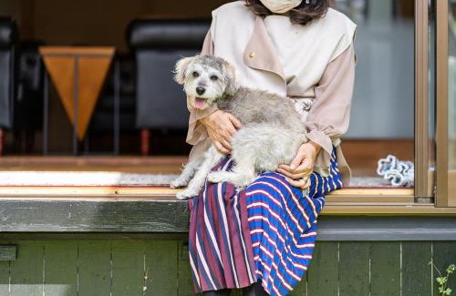 Suzaki Haus | ペットと泊まれる4LDK貸別荘 BBQ可 満点の星空に囲まれた御用邸付近の非日常空間 駐車場3台 s01