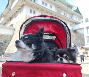 Mizuho Ward Wohnung | ペットも泊まれる小さなお宿虎凜Korin