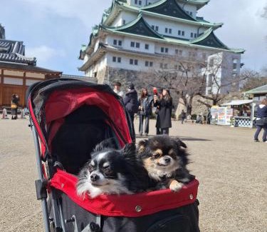 Mizuho Ward Wohnung | ペットも泊まれる小さなお宿虎凜Korin