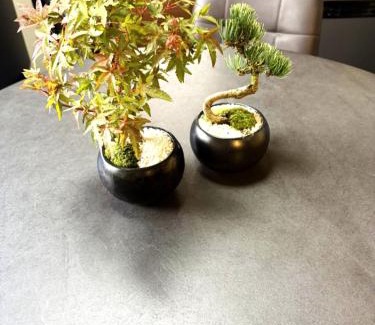 Fushimi Wohnung | ミラージュ宿 2025年5月オープン 京都芸術 1軒家貸切