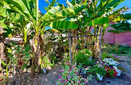 Kyotango Kabine | レンタルコテージサントロペ