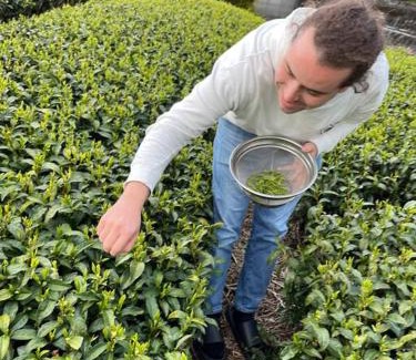 Shimada Haus | 一棟貸し農家民宿ひなた