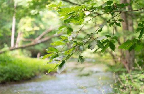 Oirase Keiryu Onsen Wohnung | 一棟貸宿 奥入瀬屋