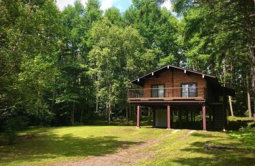 Nagano Skihütte | 『一軒丸々貸切』徒歩5分圏内カフェ 自然を満喫 Modern Ski Chalet +WiFi & 5min walk to cafes.