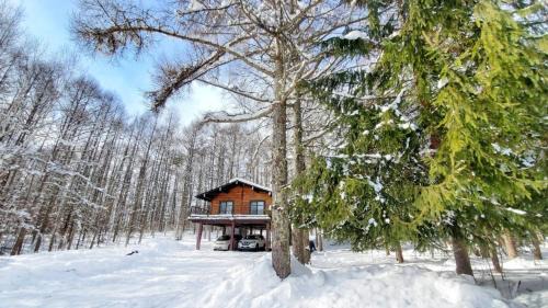 Nagano Skihütte | 『一軒丸々貸切』徒歩5分圏内カフェ 自然を満喫 Modern Ski Chalet +WiFi & 5min walk to cafes.