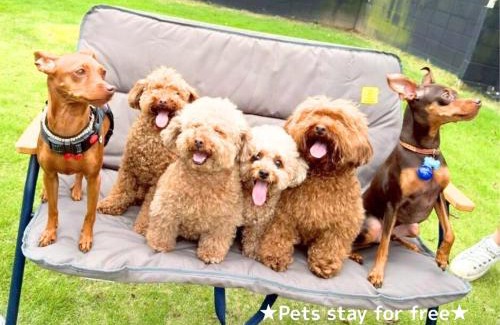 Oamishirasato Villa | 九十九里テラス〈庵〉-寛道-