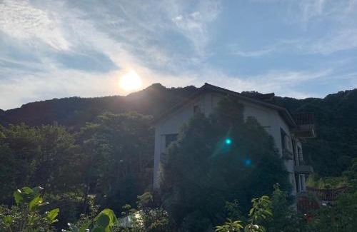 Nanzhuang Bed & Breakfast | 南庄蔓森活Nan Juang Man Son Living