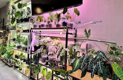 South Beach Haus | 厝True Hub旅店