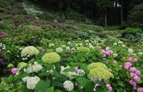 Mobara Villa | 古民家民泊しずく亭-Traditional Japanese style house SHIZUKU-tei