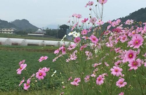 Ayabe Haus | 古民家 羅美 Japanese Old Style house La vie