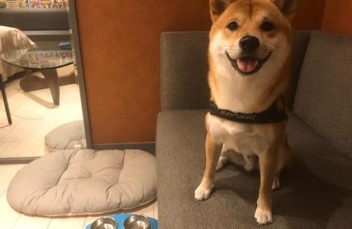 Xitun District Hotel | 合樂商旅 He&Le