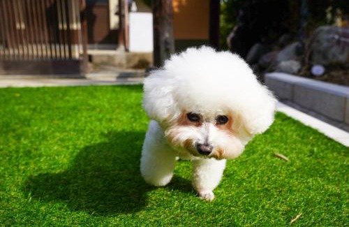 Shiga Prefecture Wohnung | 和風グランピング LYS AIBA House 一 わんちゃんと泊まれる一棟貸古民家一Japanese Style Glamping Dog Friendly Private Villa