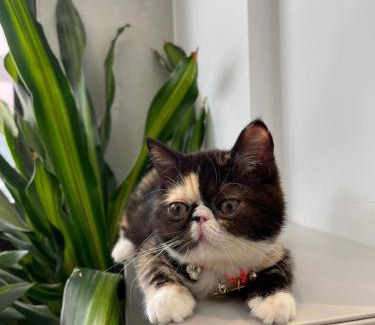 Big Beach Bed & Breakfast | 墾丁大灣小舖Enjoy Kenting262