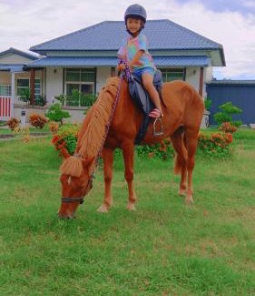 Hengchun Bed & Breakfast | 墾丁阿可休閒農莊