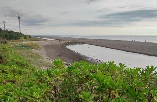 Da'an District Haus | 大安濱海樂園