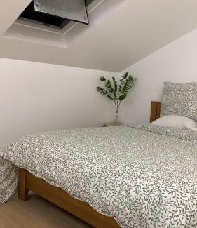 Vitry-sur-Seine Haus | 奥利机场 卢浮宫 艾菲尔铁塔 巴黎圣母院