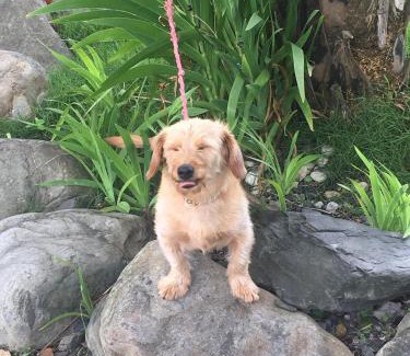 Dongshan Haus | 宜蘭樂活小屋