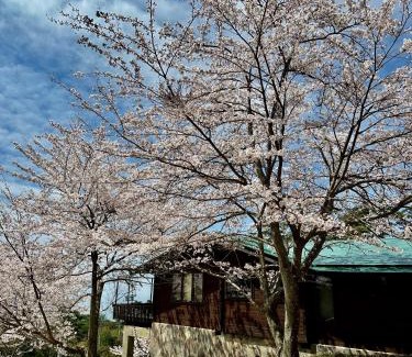 Shodoshima Haus | 小豆島プライベートキャンプサイト