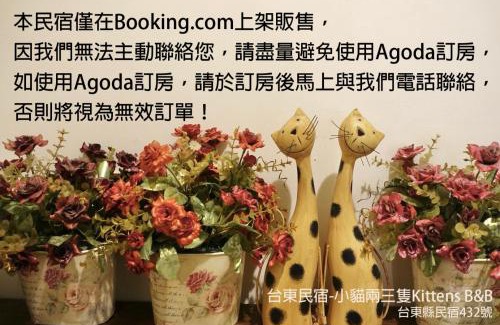 Taitung City Centre Haus | 小貓兩三隻民宿 Kittens B&B 貓咪民宿&寵物友善