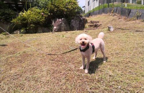 Izu Villa | ■屋根付BBQテラスのある貸別荘■1棟貸しなので安全安心■3台分の無料駐車場完備です