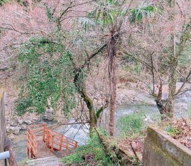 Hanno Haus | 川辺-KAWABE-BBQ-川遊び-fishing