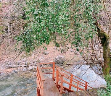 Hanno Haus | 川辺-KAWABE-BBQ-川遊び-fishing