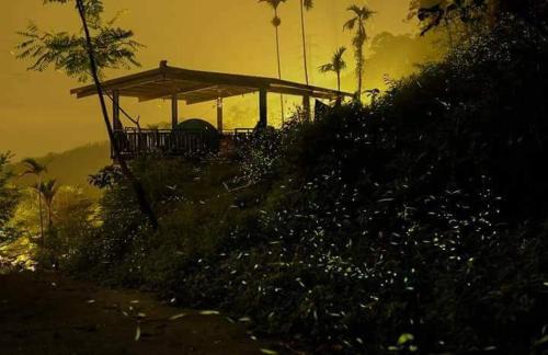 Gukeng Haus | 幸福檜木屋民宿