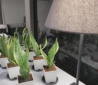 Xitun District Wohnung | 日出逢甲