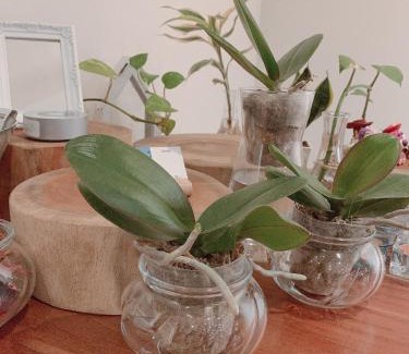 Xitun District Wohnung | 日出逢甲