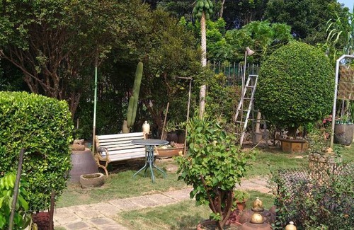 Liujiao Haus | 日式三人房