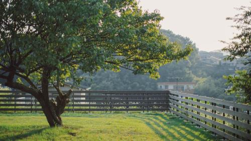 Onomichi Wohnung | 旧雨今雨