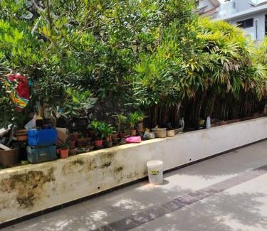 Gua Wohnung | 明国民宿