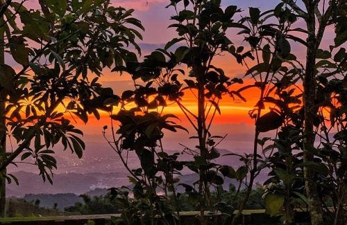 Dongshi District Haus | 星光山悦景觀民宿