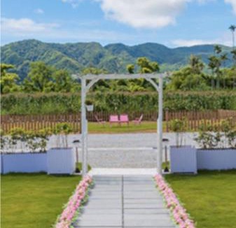 Shoufeng Bed & Breakfast | 星空樹民宿