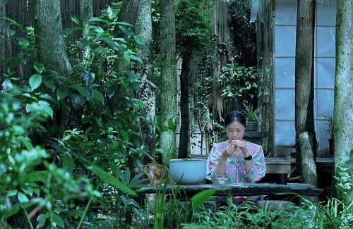 Changjiang County Haus | 景德镇树园心舍民宿JDZ Forest Haven B&B