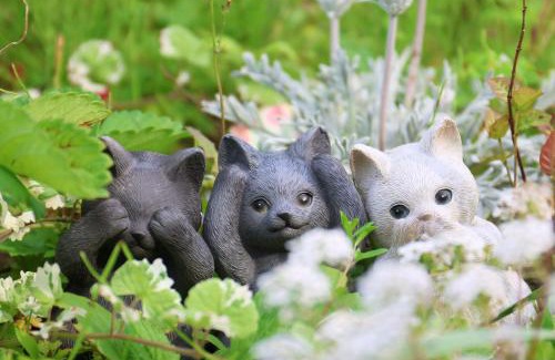 Hanamaki Wohnung | 期間限定連泊割-新幹線徒歩15分-空港車8分-田んぼに囲まれて暮らす自然に寄り添う静かな一棟貸切宿